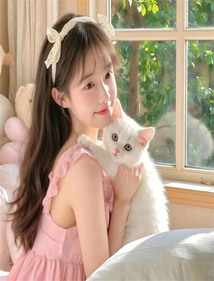 提名影片：《秦始皇魂穿元末朱重八》媒体评价：主流媒体观点与专业影评解读